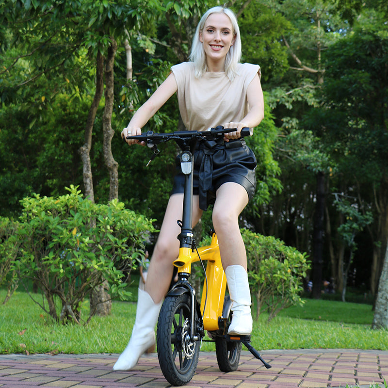 Z-BIKE PRO E-BIKE folding bike 25Km/h up to -55Km range